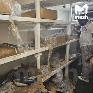 Иллюстрация 8