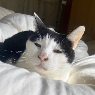 Иллюстрация 2