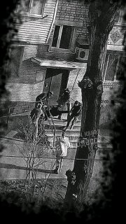 Мнение о судьбе «бусифицированных» украинцев