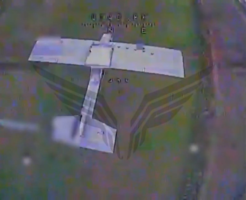 Иллюстрация 1