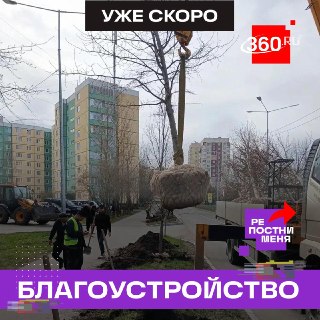 В Наро-Фоминске высадят более 150 деревьев к 100-летию города