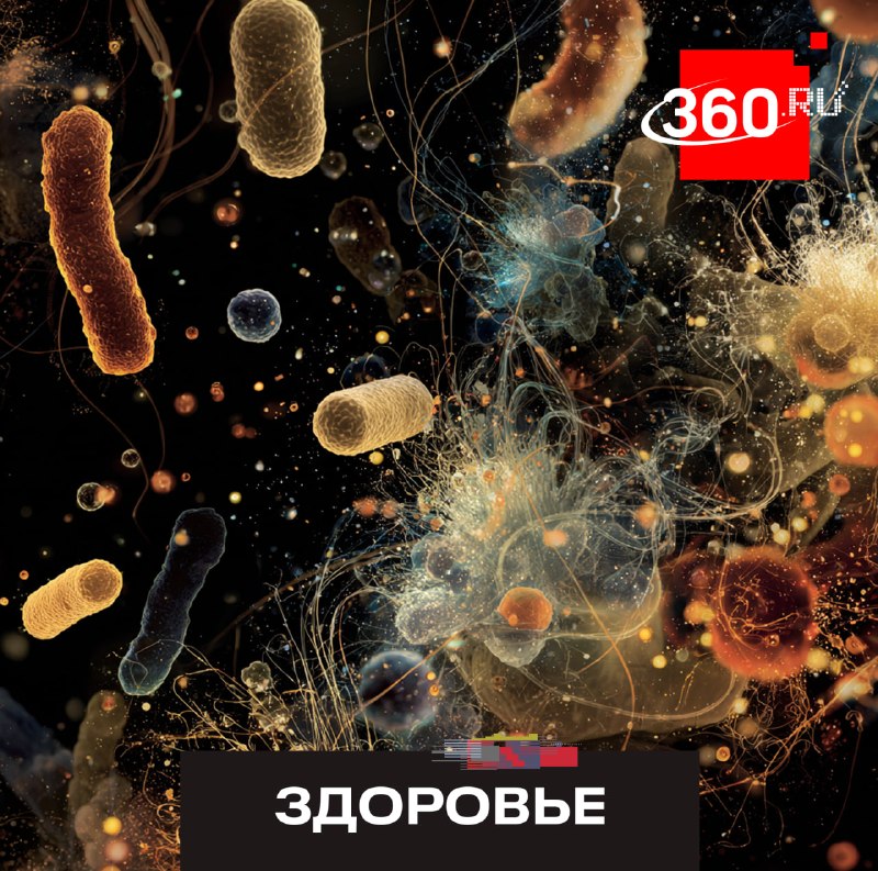 Ученые ставят под сомнение связь между разнообразием микробиома и крепким иммунитетом