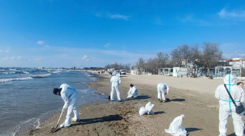 В Анапе на побережье произошел разлив нефти