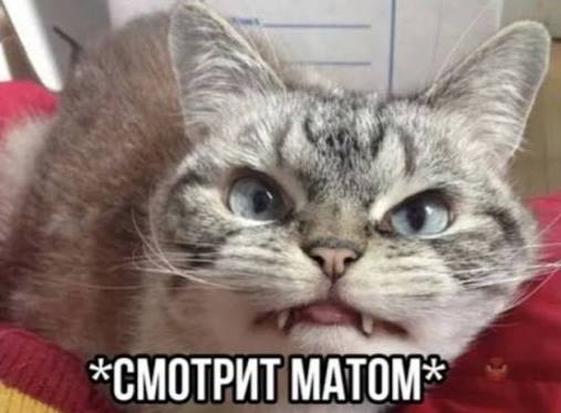 Частое использование матерных слов может отрицательно влиять на здоровье человека, — доктор