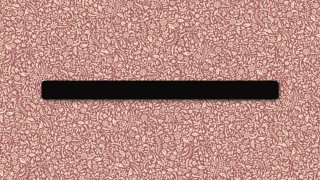 Космический масштаб Тирзетты в контексте миссии NASA Orion