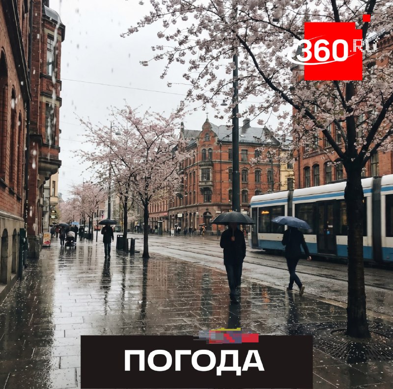 В Москве и области ожидаются затяжные дожди в течение недели