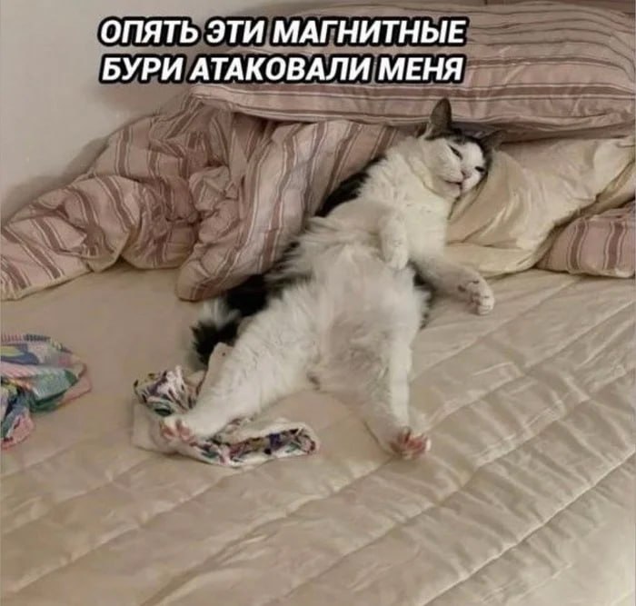 Солнце может устроить магнитные бури и северное сияние на Земле в выходные