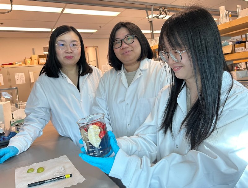 Иллюстрация 1