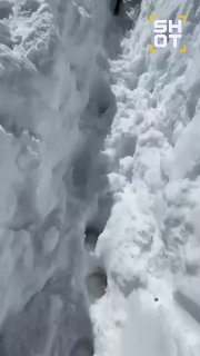 Снегопад заблокировал десятки лошадей в горах Дагестана