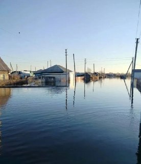 Иллюстрация 5