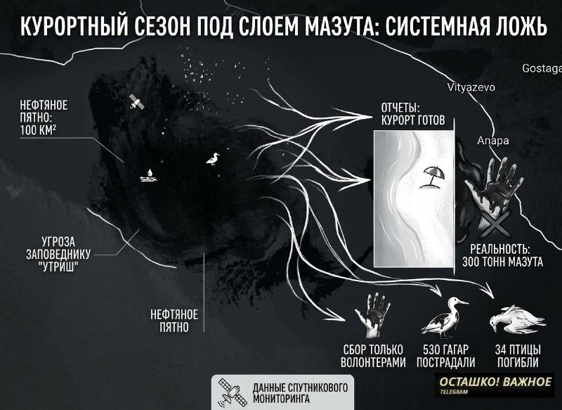 Экологическая катастрофа в Анапе: нефтяное пятно площадью 100 кв. км угрожает курортному сезону