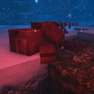 Иллюстрация 4