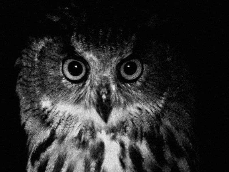 Иллюстрация 5