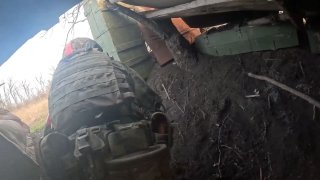 Иллюстрация 1