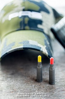 Иллюстрация 5