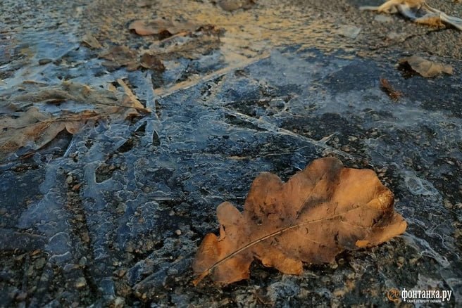В Петербурге ожидается самый теплый день апреля, но в выходные похолодает