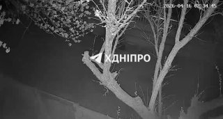 Иллюстрация 2