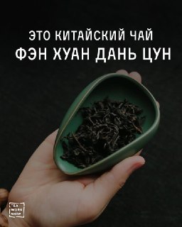 Иллюстрация 4