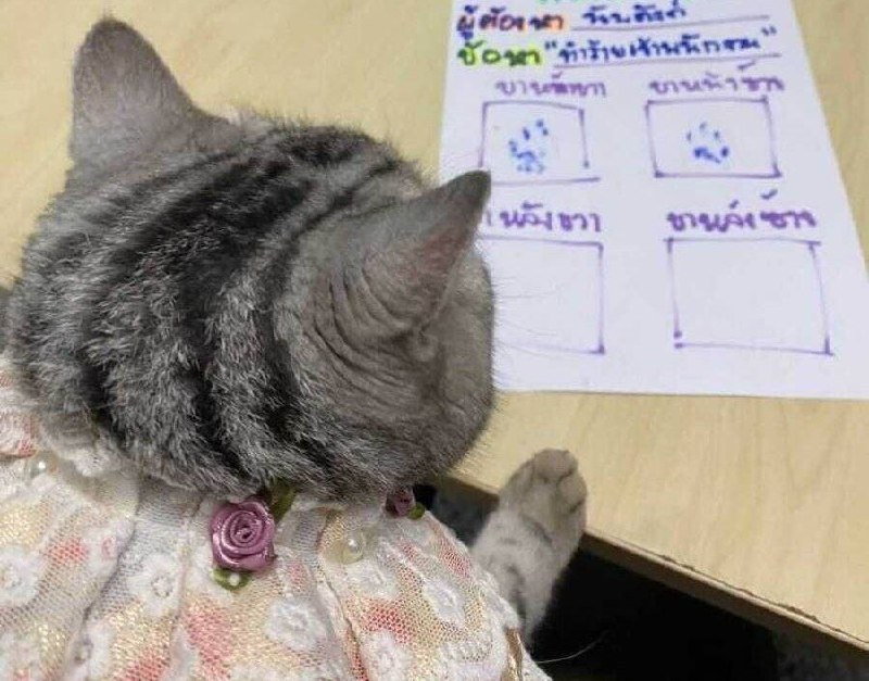 Иллюстрация 3