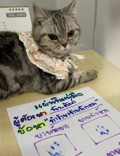 Иллюстрация 4