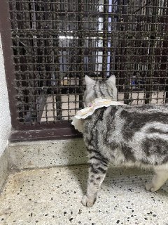 Иллюстрация 8