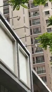 В Китае женщина выбросила с балкона два миллиона гонконгских долларов