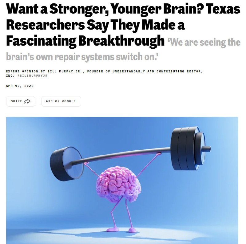 Учёные разработали спрей для омоложения мозга и борьбы с возрастной потерей памяти