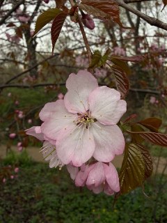 Иллюстрация 2