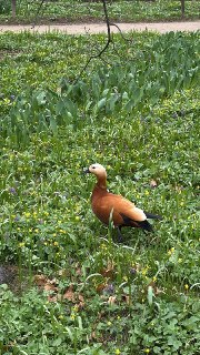 Иллюстрация 3