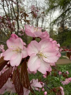 Иллюстрация 4