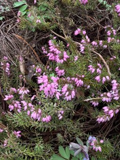 Иллюстрация 5