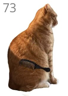 Вышла новая видеоигра про кота