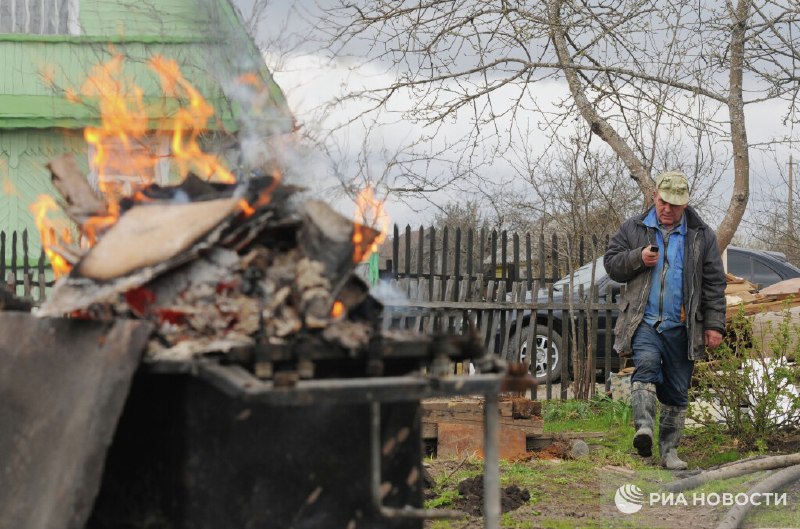 Эксперты напомнили о правилах сжигания мусора на дачных участках и возможных штрафах