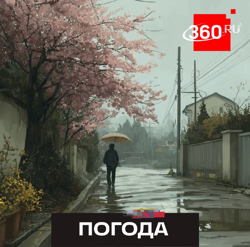 Пятница с зонтиком: в московском регионе до +15 и дожди