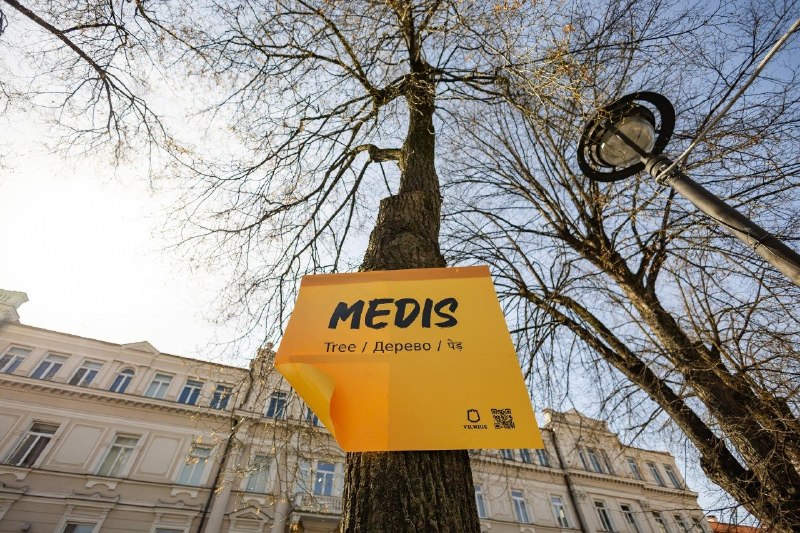 Иллюстрация 2