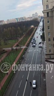 Плюшевого медведя разминировали на Кузнецовской в Петербурге