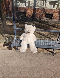 Иллюстрация 2