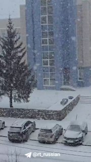 Иллюстрация 3