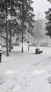 Зимний сюрприз в апреле: Новосибирск накрыла снежная аномалия