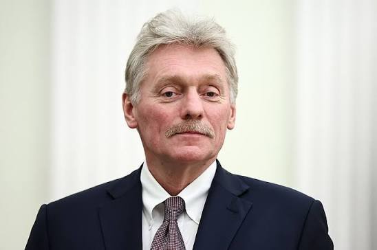 Песков отверг заявления блогеров о недокладах Путину