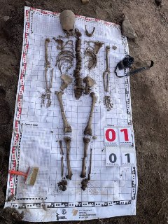 В Ленобласти нашли массовое захоронение мирных жителей, погибших в годы Великой Отечественной войны