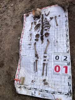 Иллюстрация 4