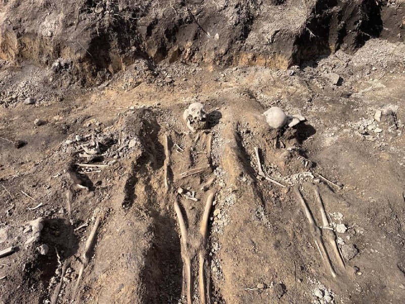 Иллюстрация 5