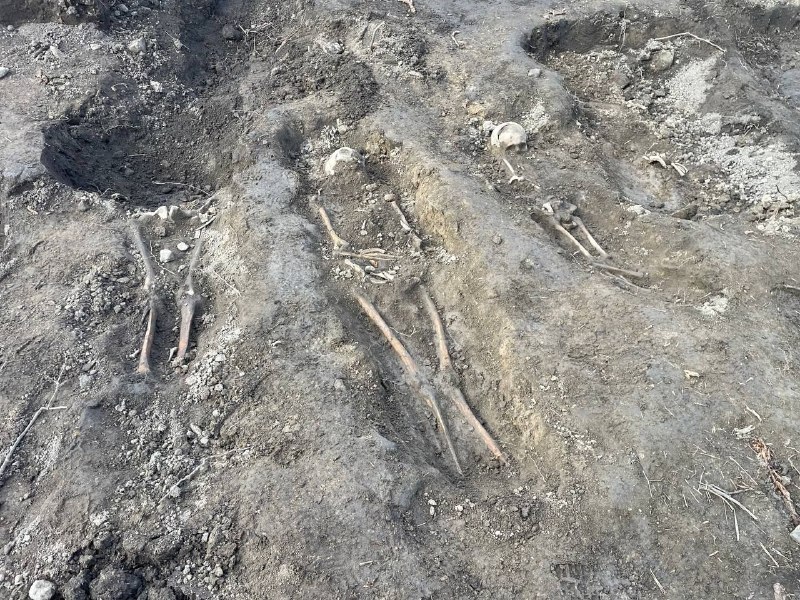 Иллюстрация 6