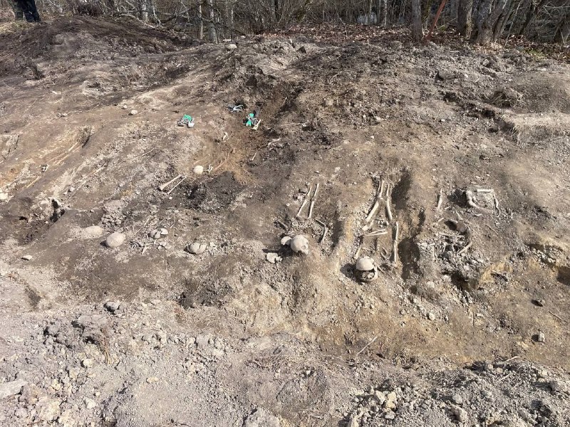 Иллюстрация 7