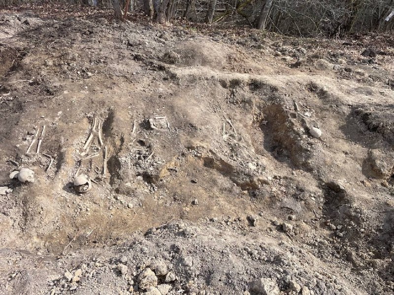 Иллюстрация 8