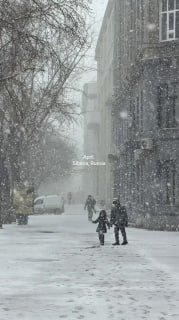 Иллюстрация 4