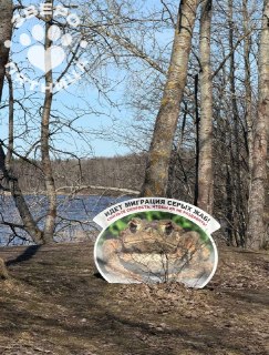 Иллюстрация 2