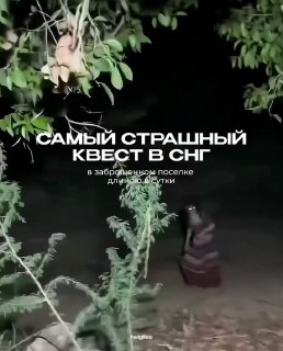 В Узбекистане проводят масштабный хоррор-квест на 24 часа