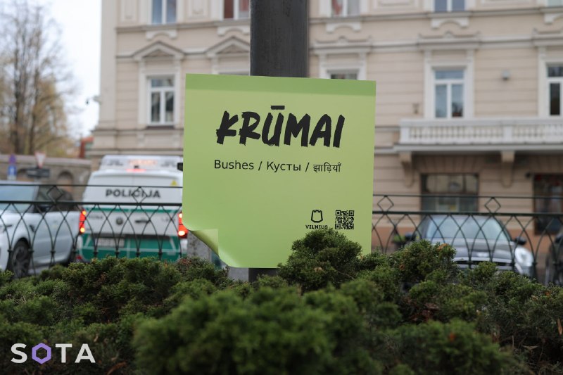 Иллюстрация 3